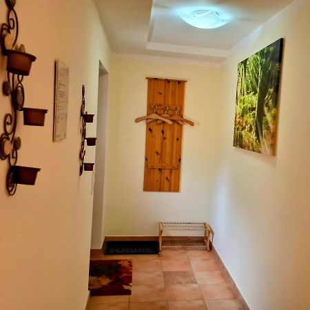 Ferienwohnung Im Landhaus Am Nationalpark Ludwigsthal Exterior photo